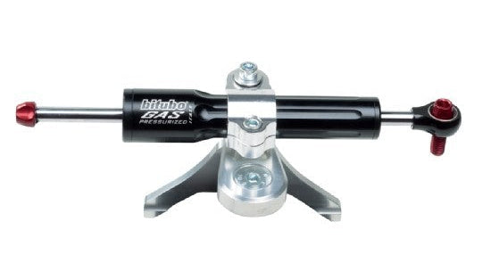 Biltubo gas pressurized ski pole on a white background